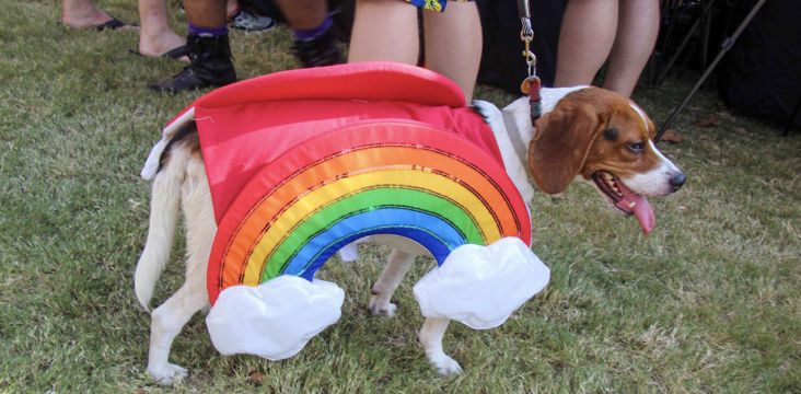 The RTD sponsors VA PrideFest for the second year